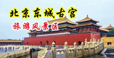 在线观看操屄视频网站中国北京-东城古宫旅游风景区